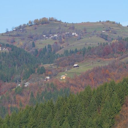 Kings Valley - Sunny Botesti Cîmpeni Exterior photo
