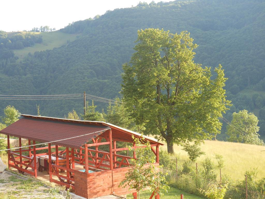 Kings Valley - Sunny Botesti Cîmpeni Exterior photo
