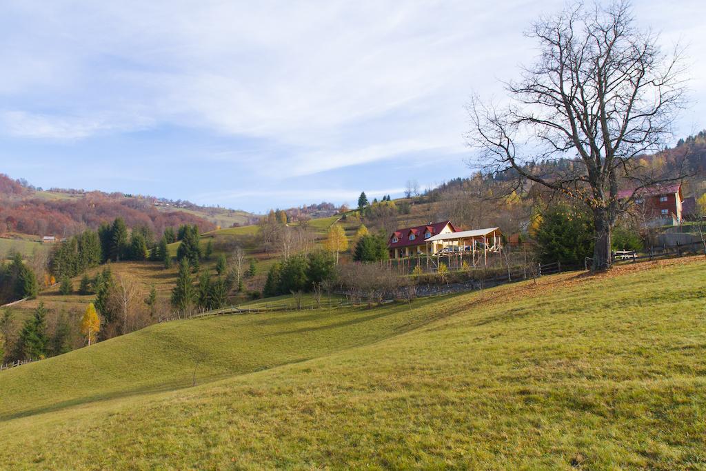 Kings Valley - Sunny Botesti Cîmpeni Exterior photo