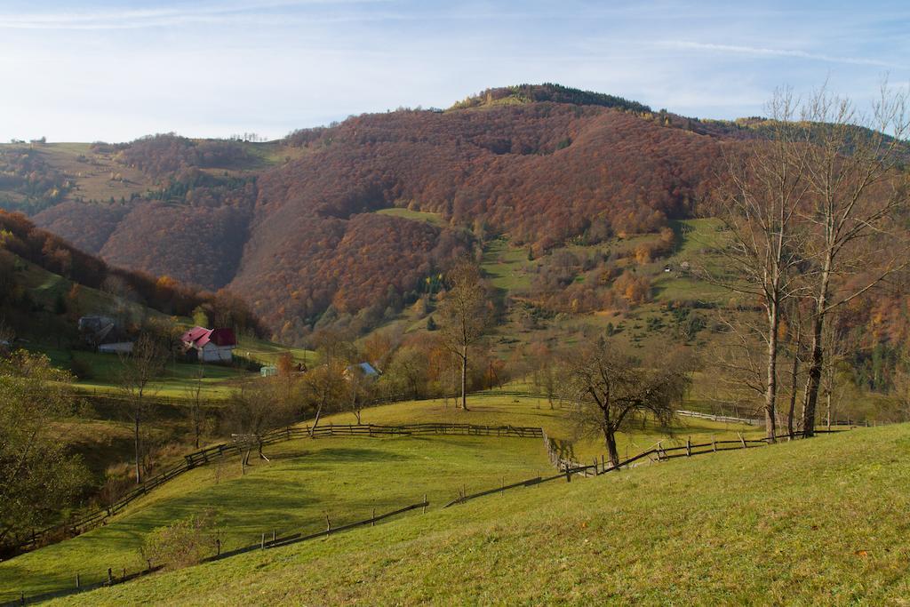 Kings Valley - Sunny Botesti Cîmpeni Exterior photo