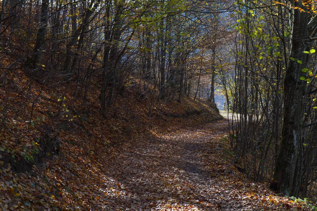 Kings Valley - Sunny Botesti Cîmpeni Exterior photo