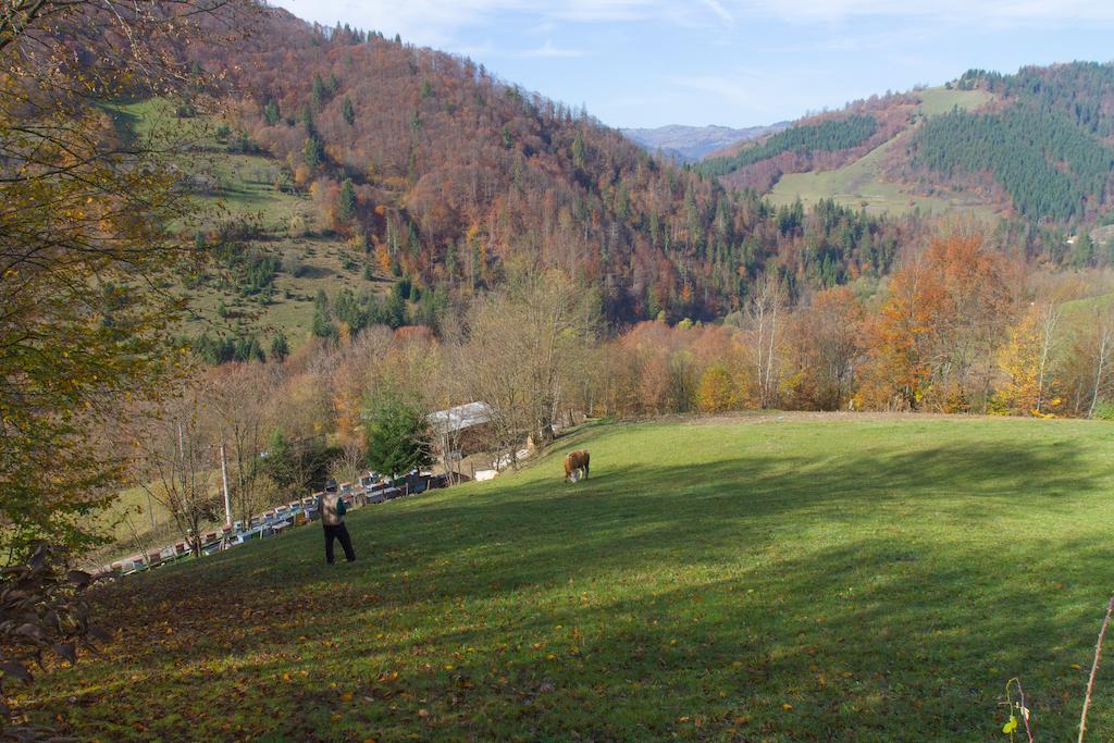 Kings Valley - Sunny Botesti Cîmpeni Exterior photo