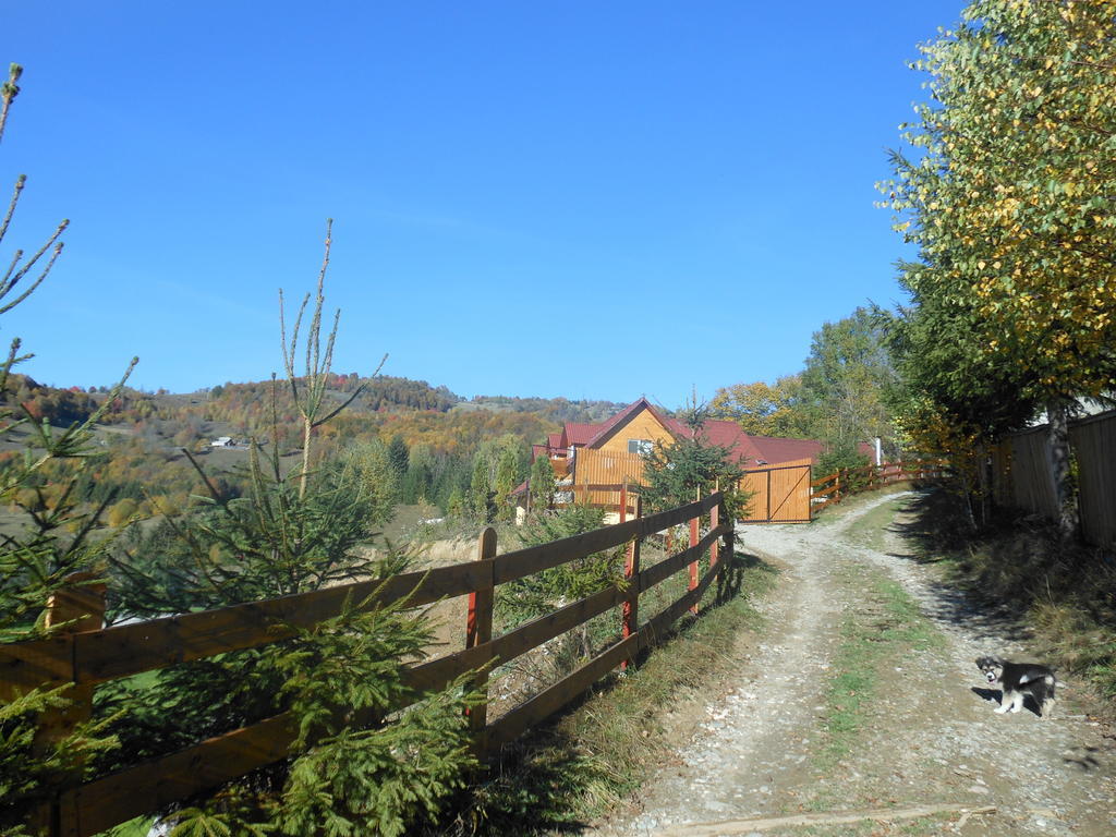 Kings Valley - Sunny Botesti Cîmpeni Exterior photo
