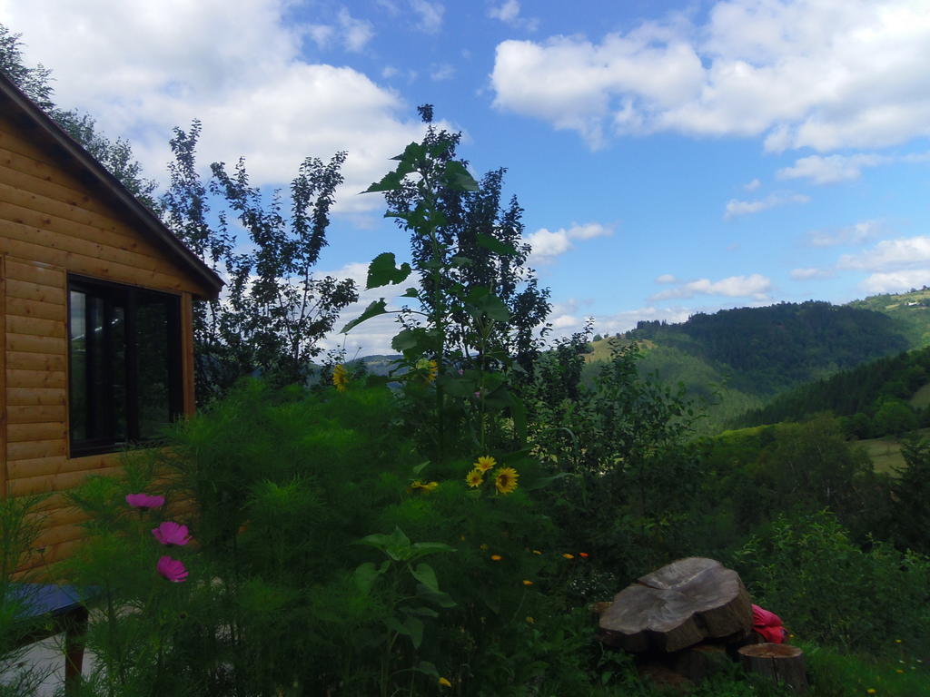 Kings Valley - Sunny Botesti Cîmpeni Exterior photo