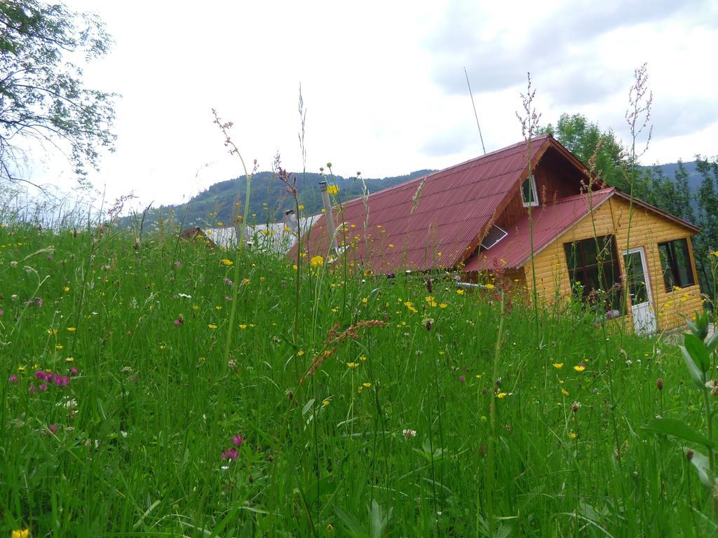 Kings Valley - Sunny Botesti Cîmpeni Exterior photo