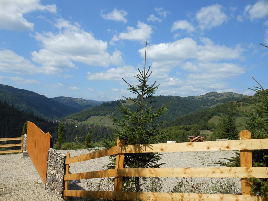 Kings Valley - Sunny Botesti Cîmpeni Exterior photo
