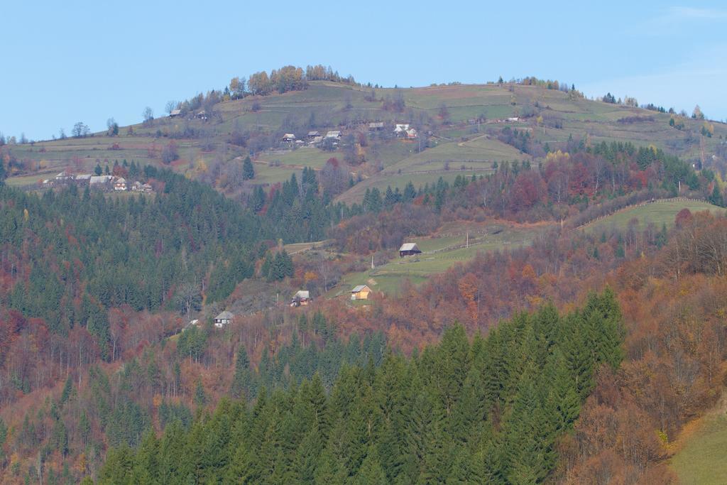 Kings Valley - Sunny Botesti Cîmpeni Exterior photo